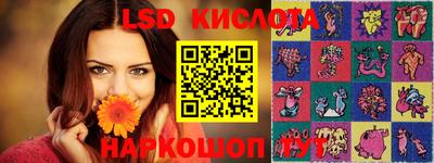 амф Ярославль