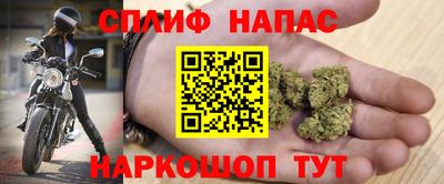 прущие грибы Ярцево