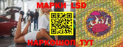 амф Ярославль